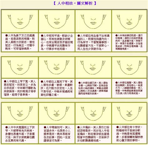 不同面相|面相图解,面相分析,怎么看面相